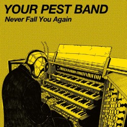Your Pest Band - Never Fall You Again 7 inch